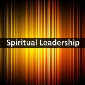 The Resilient Life for Faith-Based Leaders (all faiths welcome) – We build conferences around you, call for information, 847-890-5003